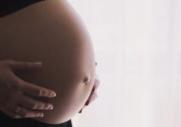 Los controles prenatales son fundamentales.