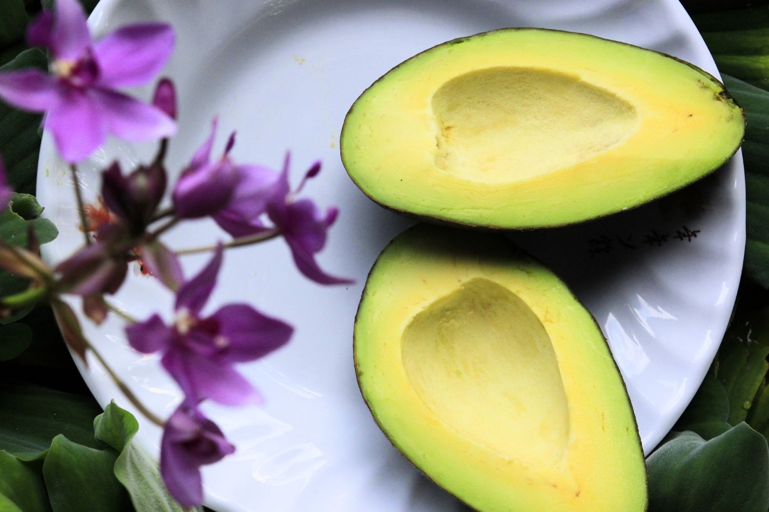 Beneficios del consumo de aguacate